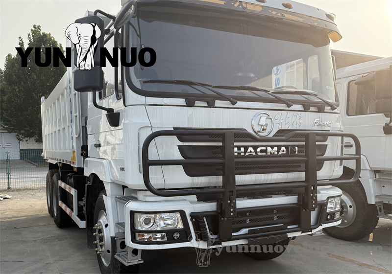 Des clients du Tchad ont visité le Shandong Yunnuo副本