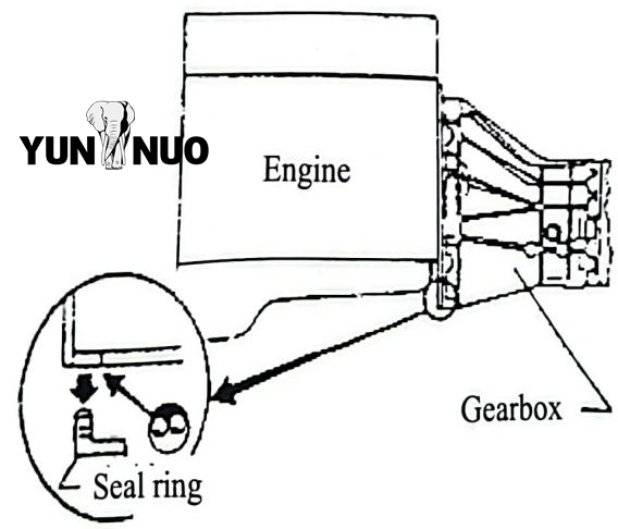 Article 4